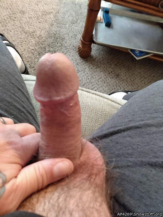 Photo of a third leg from Alf4269