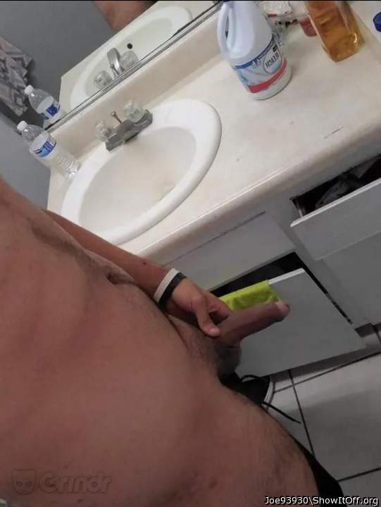 Photo of a weasel from Joe93930