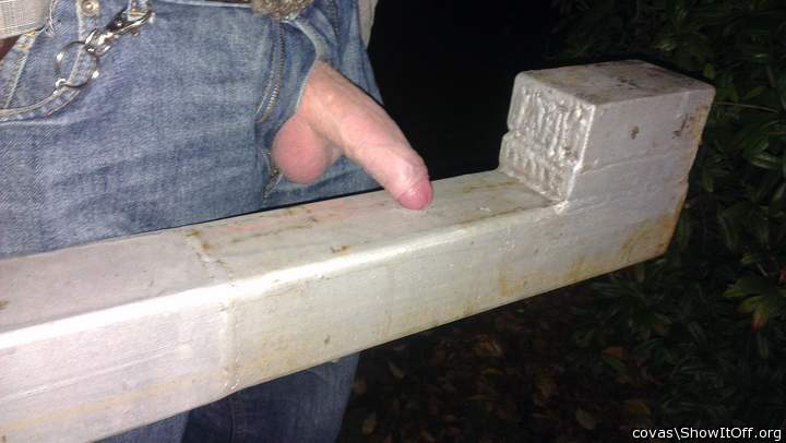 Photo of a phallus from covas