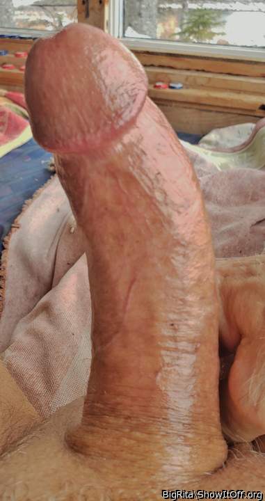 Photo of a snake from BigRita