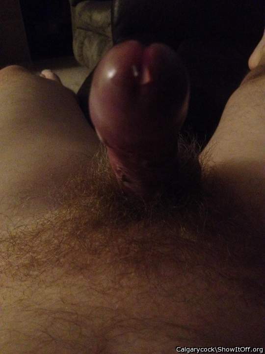 Photo of a meat stick from Calgarycock