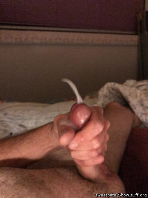 Photo of a snake from sweetpete
