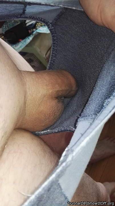 Photo of a weasel from Gunnar08