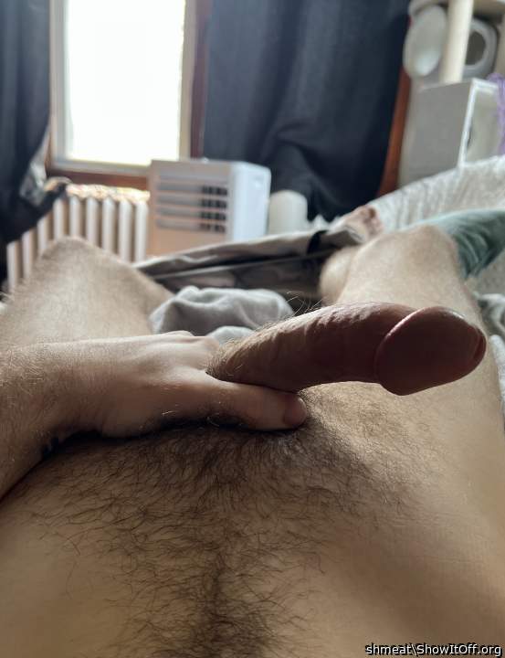 Photo of a horn from shmeat