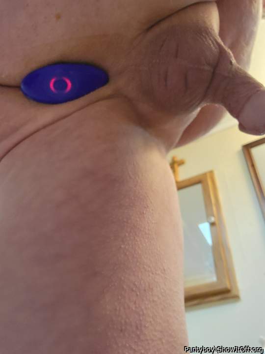 Photo of a third leg from Pantyboy
