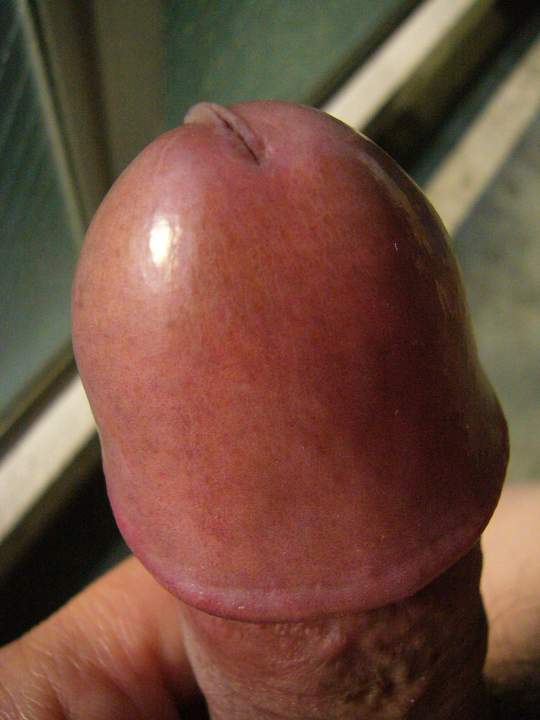 Photo of a meat stick from vowowhouse
