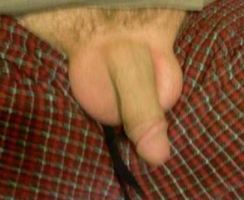 my big nuts,  anyone want a lick?