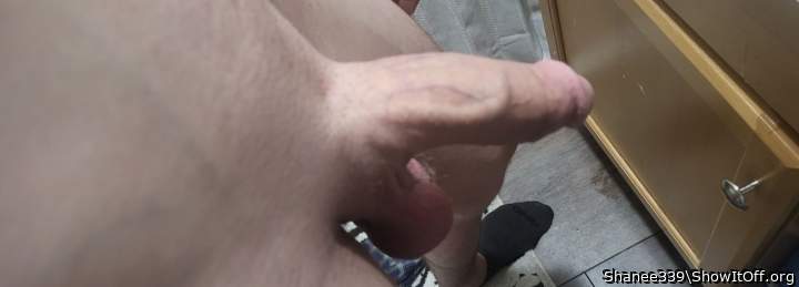 Photo of a snake from Shanee339