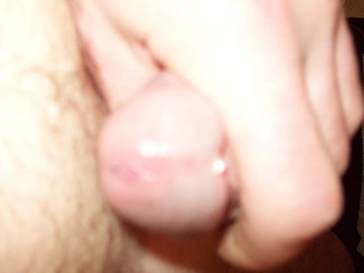 Photo of a bald-headed mouse from Hornyashell