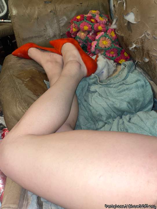 Photo of a bat from Pantyhose1