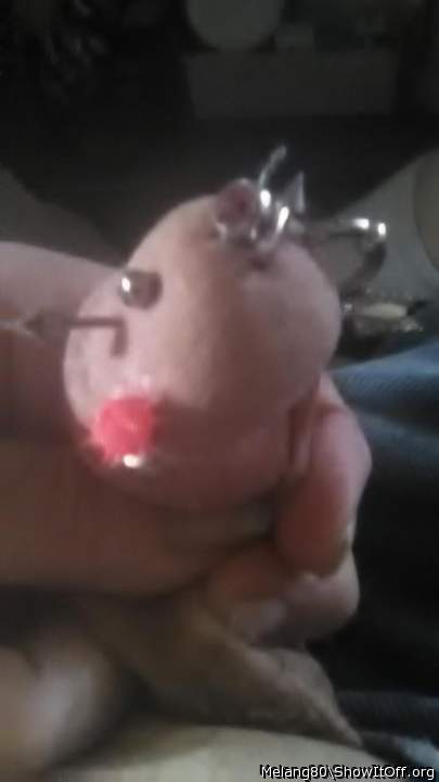 Photo of a third leg from Melang80