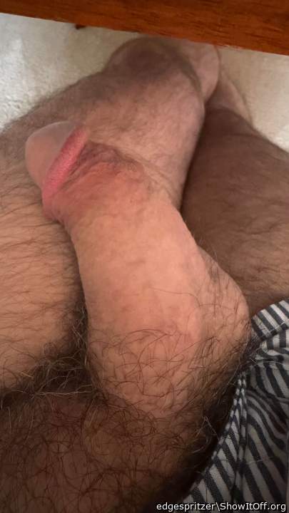 Photo of a sausage from edgespritzer