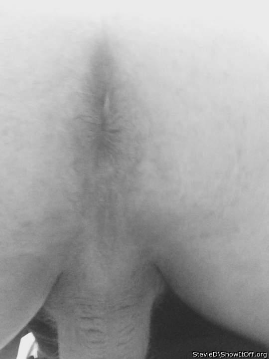 Photo of Man's Ass from StevieD