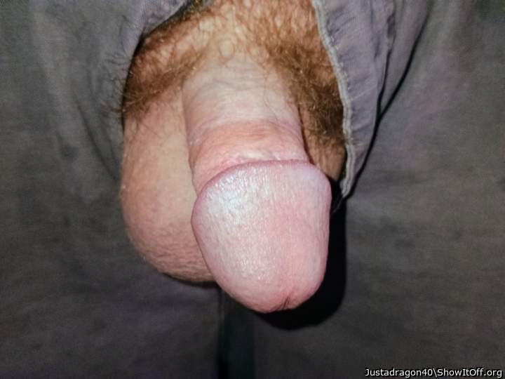 Photo of a dong from Justadragon40