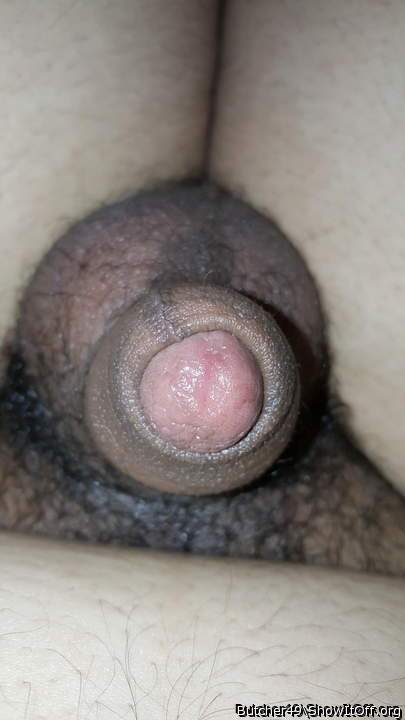 Photo of a cock from butcher49