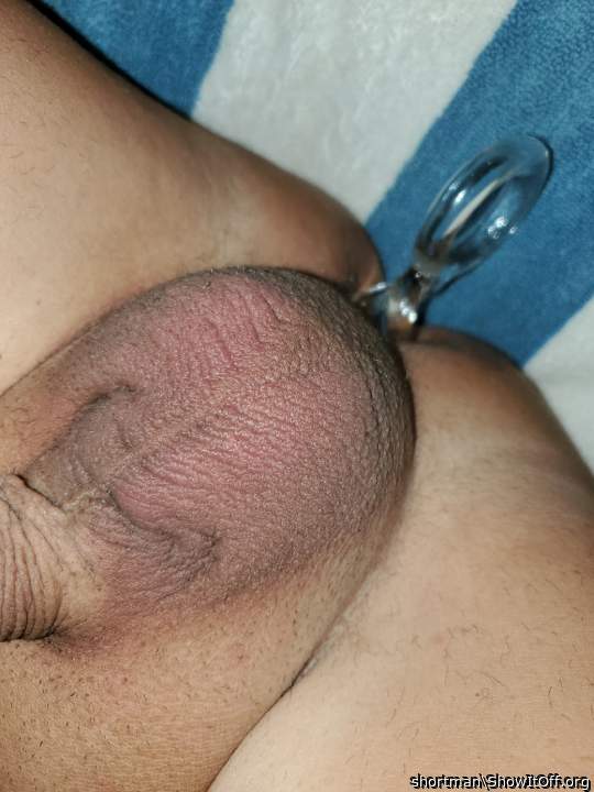 Photo of a penis from shortman