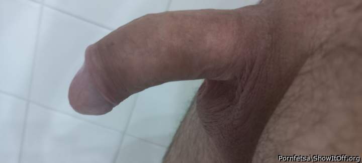 Photo of a rooster from Pornfetsa
