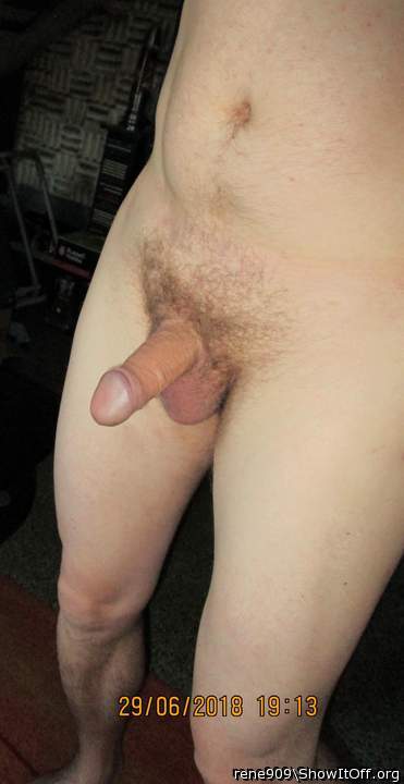 Photo of a cock from rene909