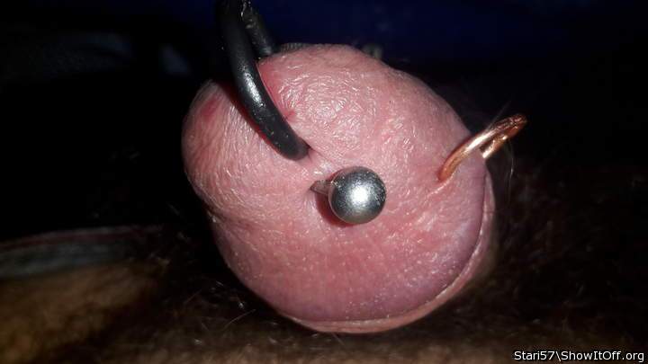 Photo of a pecker from stari57