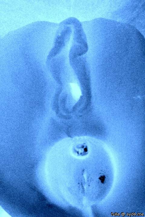 Photo of a dick from fulla
