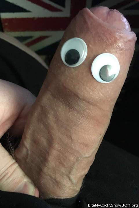 Googly Eyes Make Everything Better
