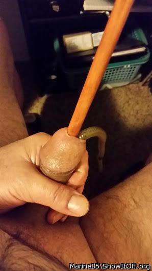 Rubber worm and dowel