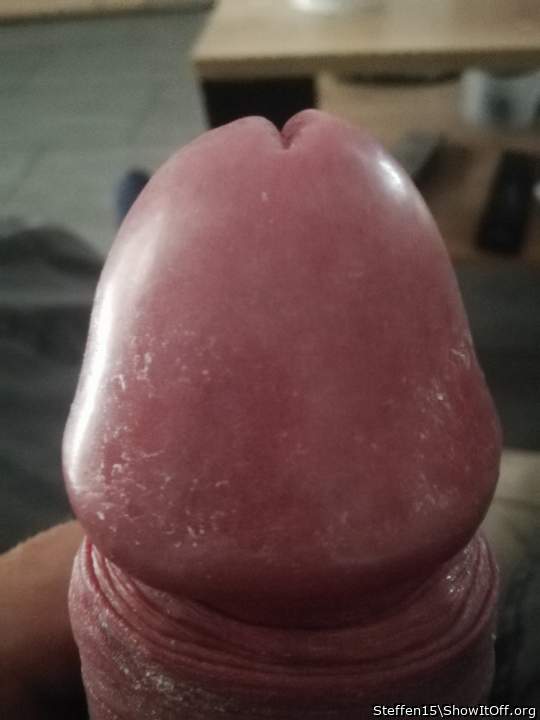 Photo of a cock from Steffen15