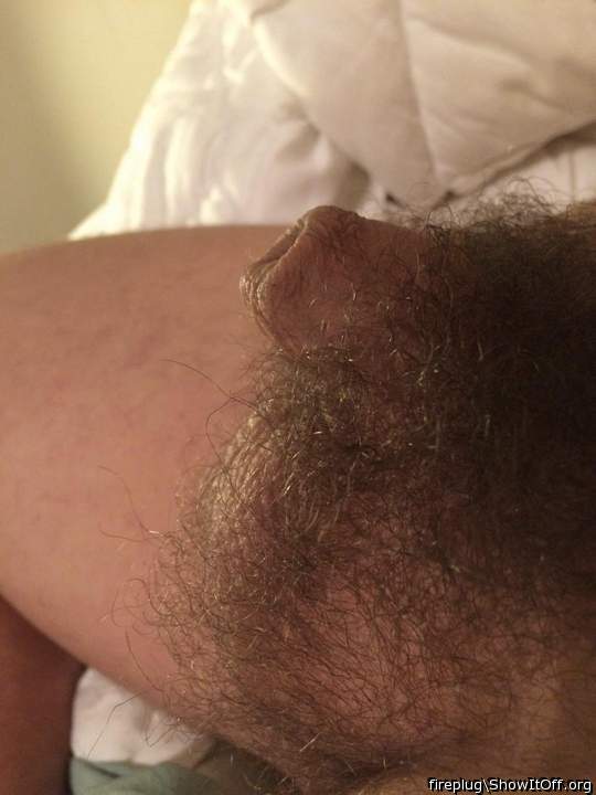 more hair than dick