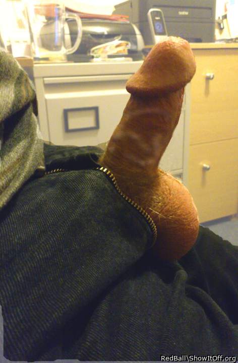 Morning Stiffie
