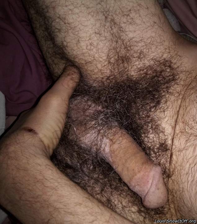 Nice hard hairy cock and balls