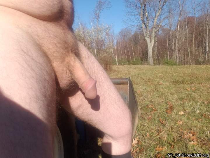 Photo of a cock from GT_68