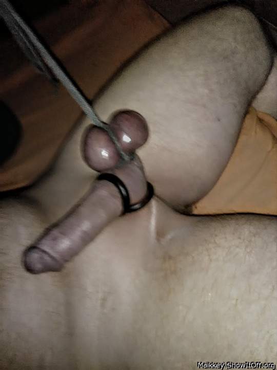 Photo of a cock from Maikkey