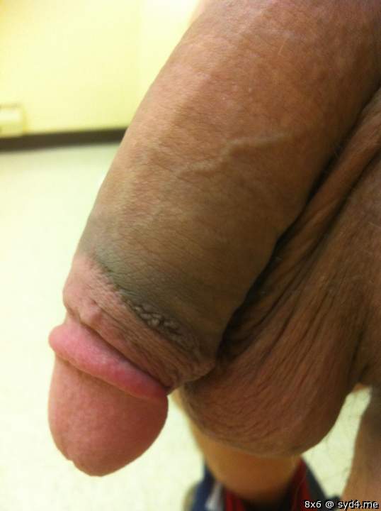 Photo of a short leg from 8x6