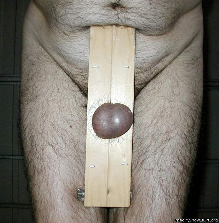 Testicles Photo from medir