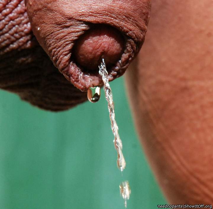 I need you to piss on me stud