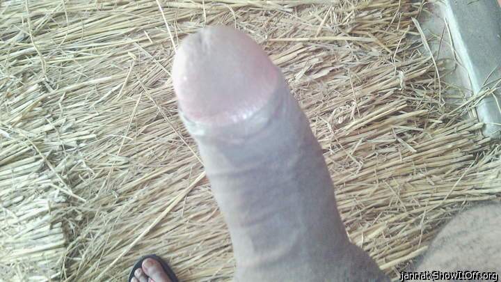 Photo of a stiffie from jannat