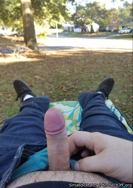 Quite daring on your front yard 