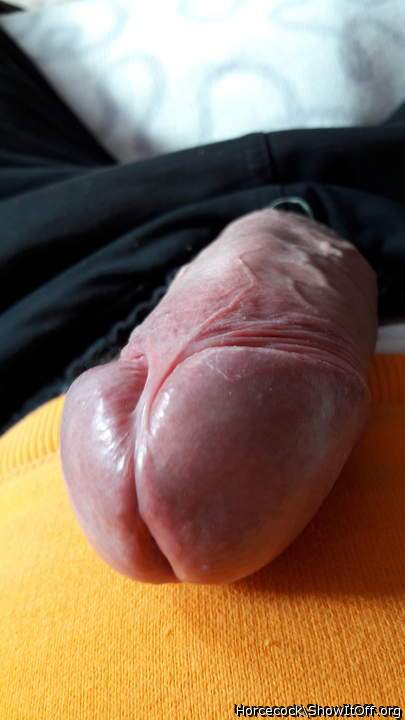 Photo of a bald-headed mouse from massivecock