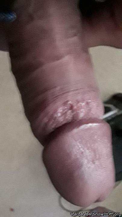 Photo of a sausage from stargate84