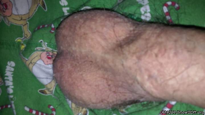 Photo of a dong from Alf4269