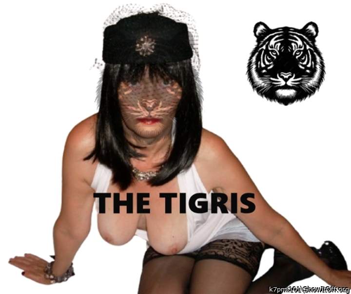 TIGRIS