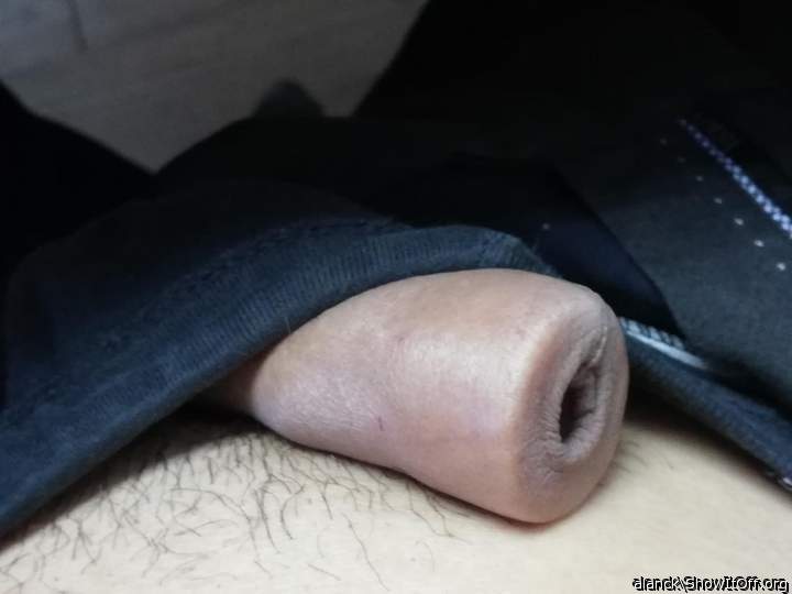 Photo of a bald-headed mouse from alanck