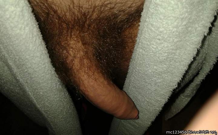 Photo of a cock from mc123456