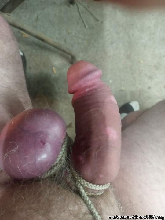 Hi, pig Ernie here, love your cock and balls