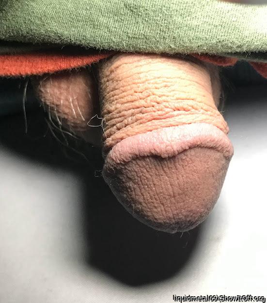 Photo of a snake from liquidmetal69