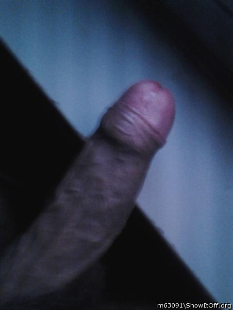 Photo of a python from Hotcaramel91