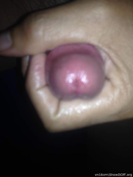 Photo of a wiener from vn16cm