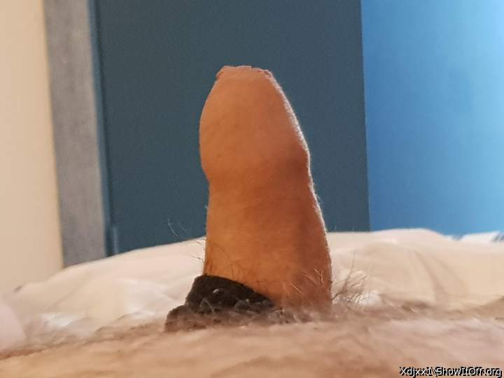 My view first thing this morning...