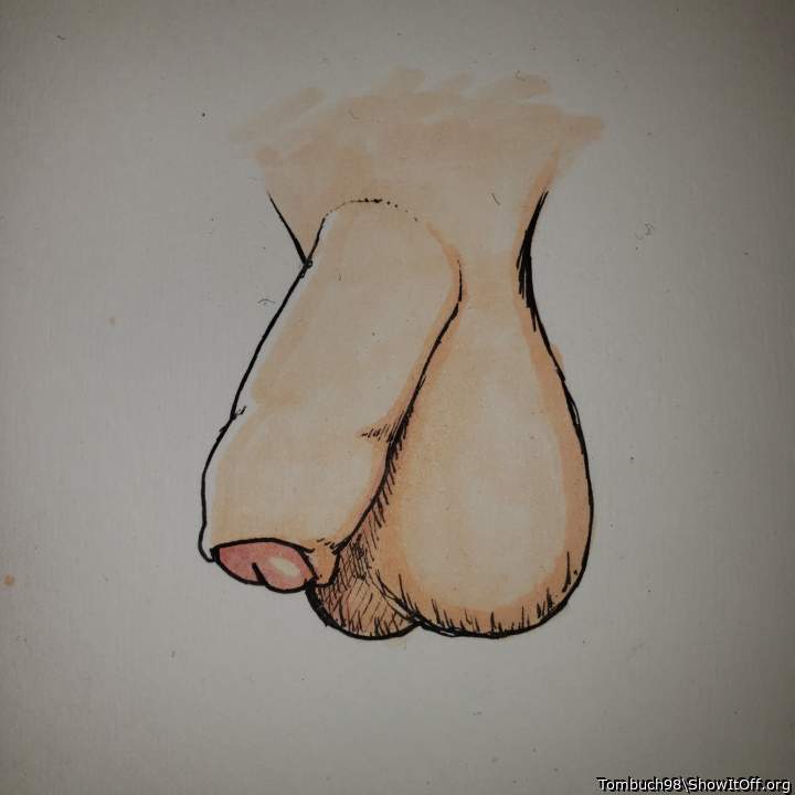 I drew my soft cock