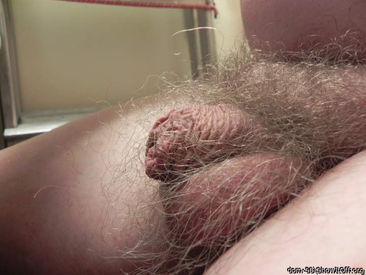 Photo of a pecker from dom-58